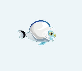 Football Angelfish - White Helmet